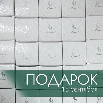 День свободных денег